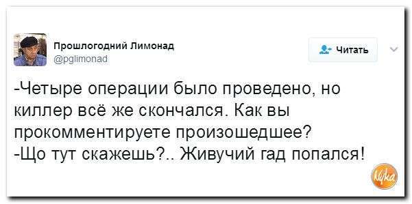 С юмором по нашей тёмной жизни: подборка материалов об обстановке в Мире №349