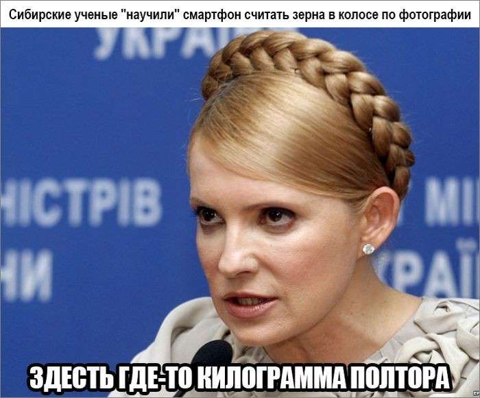 С юмором по нашей тёмной жизни: подборка материалов об обстановке в Мире №169