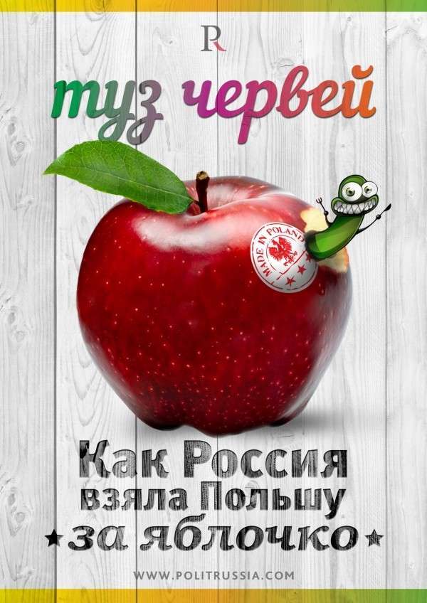 Контрсанкции. Наш ответ Западу