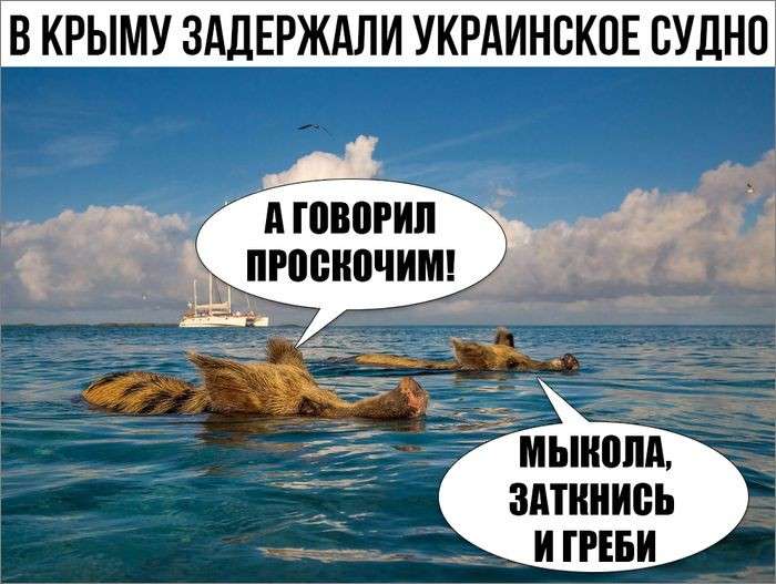     :   