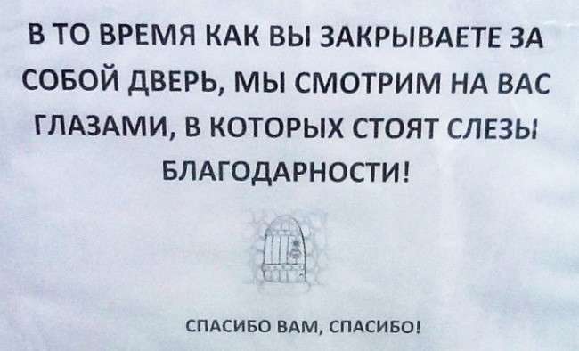 Юмор из Жизни: начало трудовой недели, не скучаем