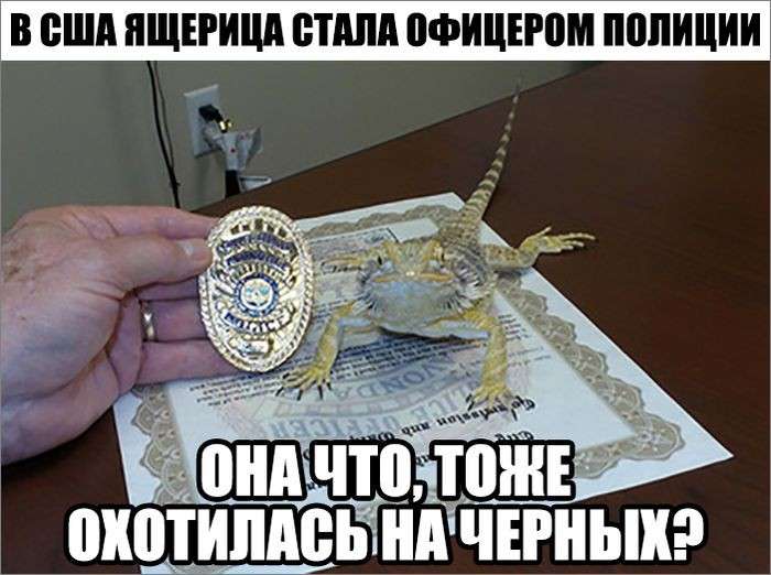 Юмор помогает нам пережить смуту: Порошенко учил Тиллерсона как общаться с Путиным