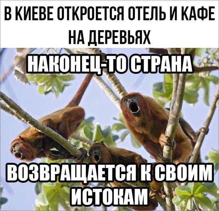 Юмор помогает нам пережить смуту: от белого моря до южных морей Красная Армия всех сильней!