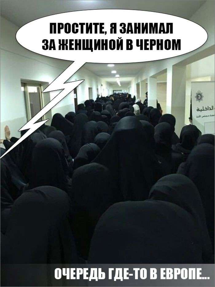 Юмор о международной политике: Порошенко успел снять средства с Яндекс Деньги