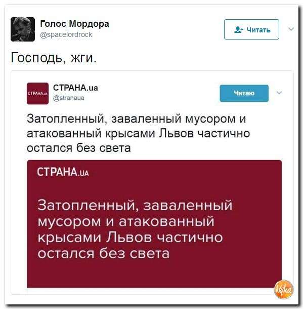 Юмор помогает нам пережить смуту: Сиси, Абдалла и Трамп установили связь с Сауроном