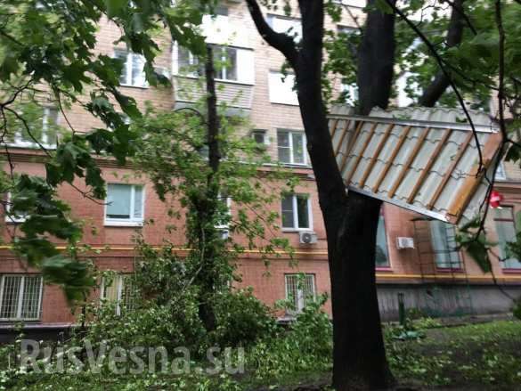 Ураган в Москве: число погибших увеличилось до шести человек | Русская весна