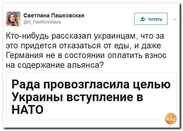 Юмор помогает нам пережить смуту: чеченские геи передают привет цеевропейцам