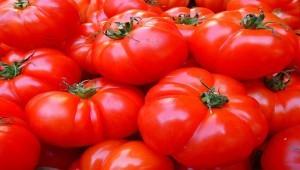 Производство томатной пасты в Астраханской области вырастет в 4 раза