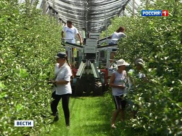 Санкции делают больно не России, а Европе