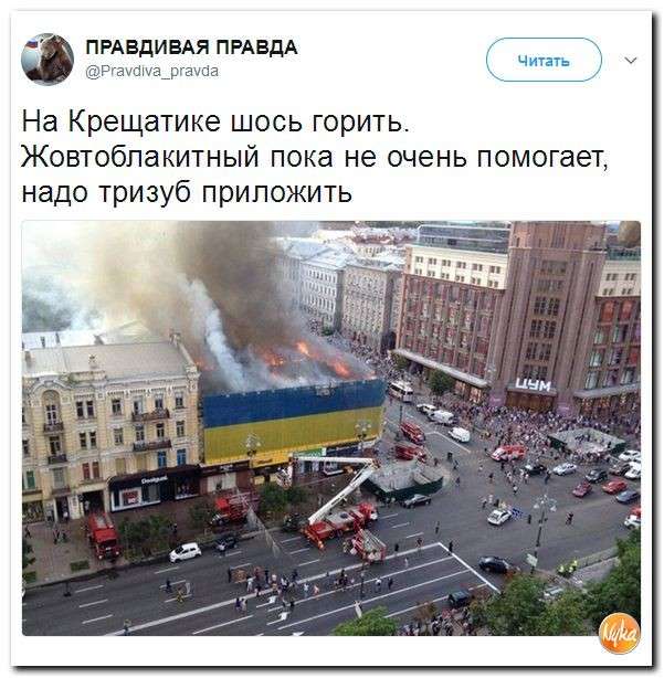 Юмор помогает нам пережить смуту: Петрушу не назначили любимой женой