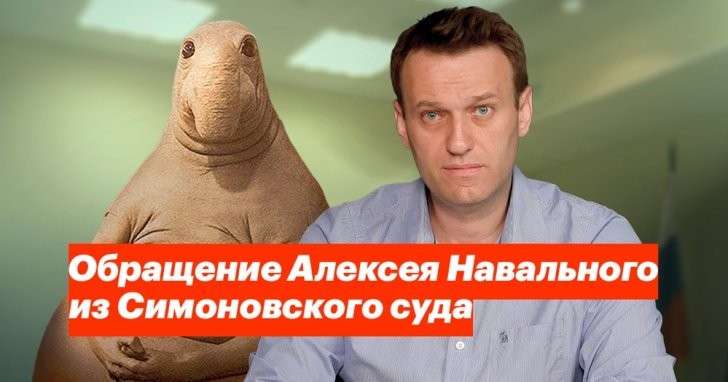 Самоустранение Навального на месяц: что показал его арест?