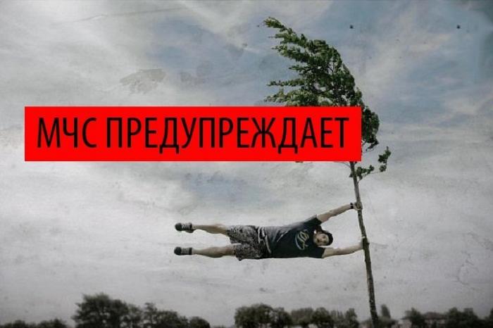 В МЧС предупредили о шквалистом ветре в Москве до 24 м/с