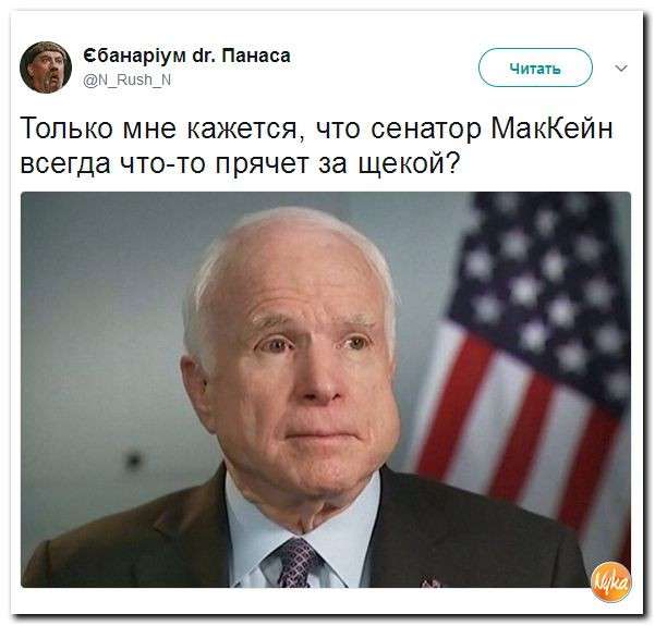 Юмор из сети: хомяк Джон Маккейн и другие звери госдепа