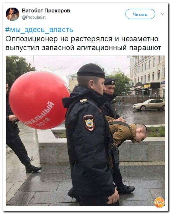 Юмор из сети: хомяк Джон Маккейн и другие звери госдепа