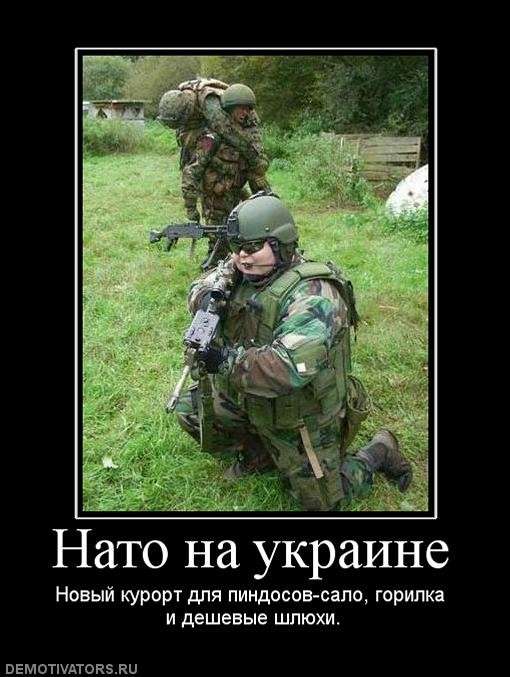 Юмор помогает нам пережить смуту: Петя Порошенко вошёл и вышел из НАТО