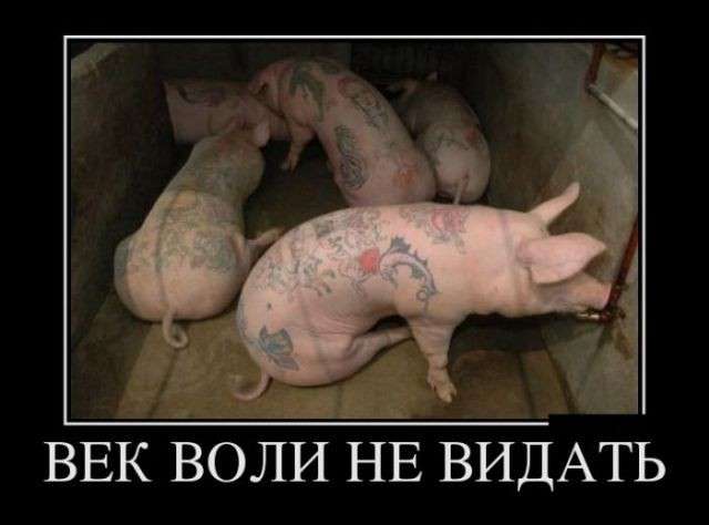 ���� � ���������. ������� ������ ����� �� ������� �� �������?