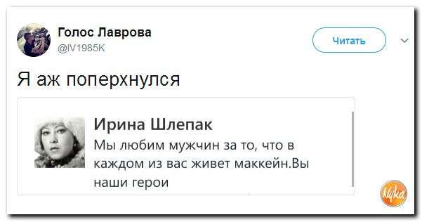 Юмор помогает нам пережить смуту: «Поросенко» из Грузии оглядел Южную Осетию