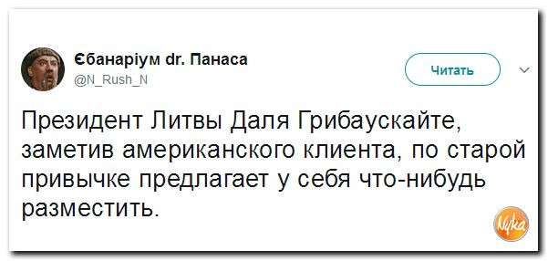 Юмор помогает нам пережить смуту: «Поросенко» из Грузии оглядел Южную Осетию