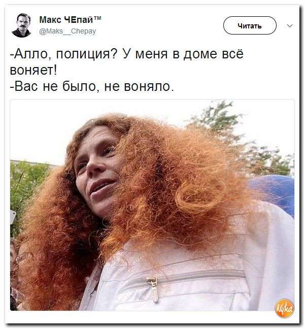 Юмор помогает нам пережить смуту: «Поросенко» из Грузии оглядел Южную Осетию