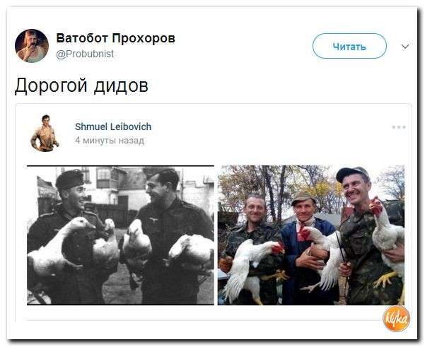 Юмор помогает нам пережить смуту: Дональд Трамп может