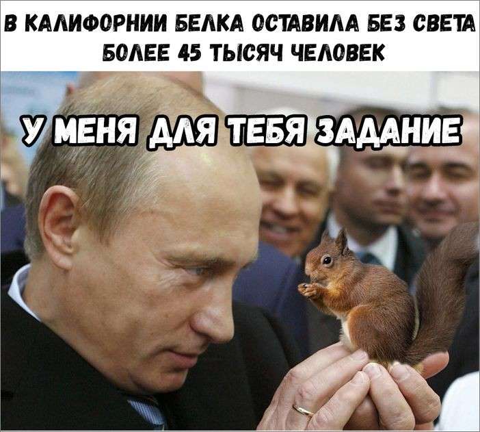 Юмор о политике: прощай Мишико-галстукажор! Теперь ты бомж без гражданства. Твой Петя