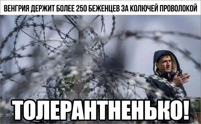 Юмор о политике: прощай Мишико-галстукажор! Теперь ты бомж без гражданства. Твой Петя