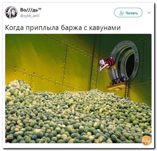 Юмор помогает нам пережить смуту: гарбузы на барже, аграрная перемога!