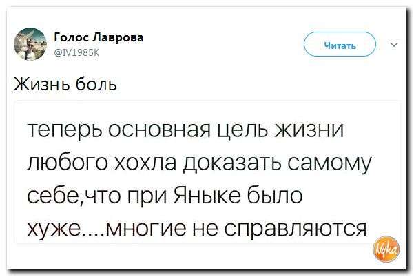 Юмор помогает нам пережить смуту: национальный вид спорта – бег по граблям