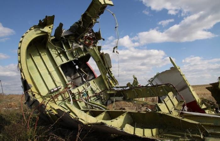 ДНР готова передать Голландии останки жертв с места крушения малайзийского боинга MH17