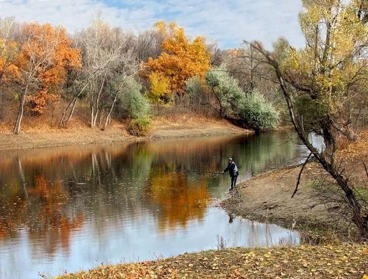 Подборка весёлых и поучительных картинок. Выпуск 110