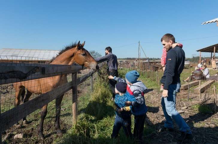 Как живут новые русские крестьяне (педерастам и накрашенным вход воспрещён)