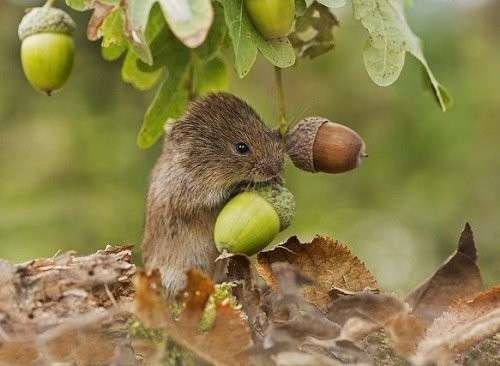 �������� ������ � ������������ ��������. ������ 120