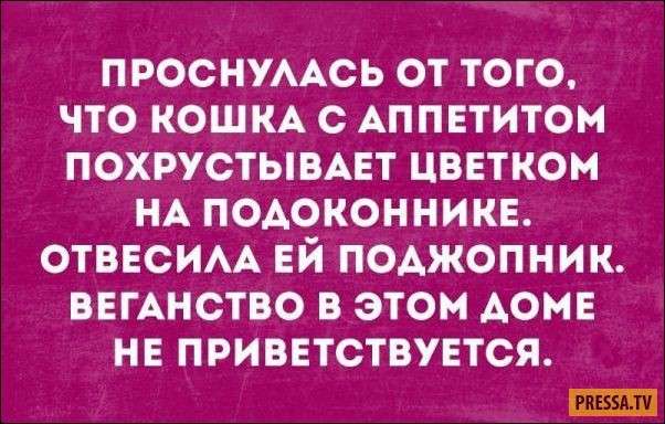 Юмор помогает пережить нашествие демократов