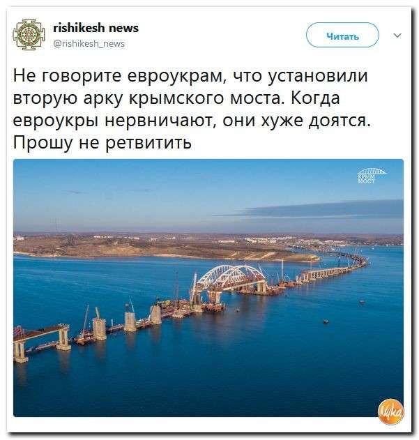 Хороший юмор помогает нам пережить этот бардак на Земле. Подборка 600