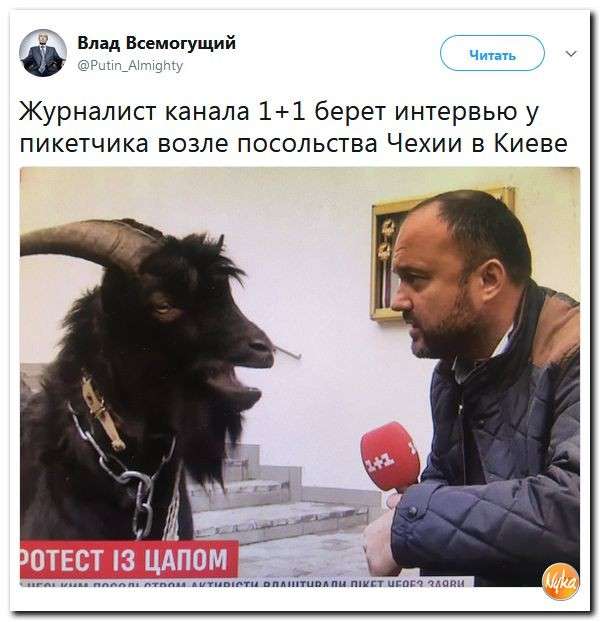 Хороший юмор помогает нам пережить этот бардак на Земле. Подборка 600