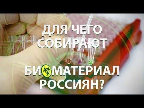 Мурманск, биологическое оружие: чиновники пытались нелегально вывезти биоматериал россиян
