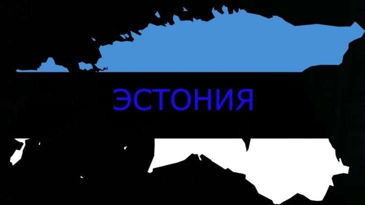 Охота на ведьм: как в Эстонии репрессируют русских