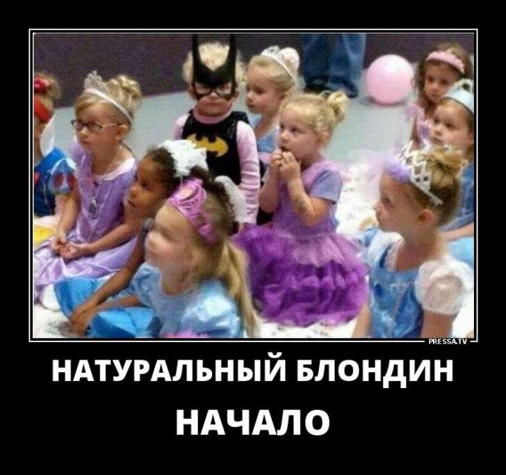Юмор помогает пережить смуту: подборка демотиваторов на субботу