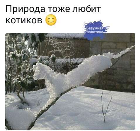 Юмор помогает пережить демократию. Что общего у депутатов, детей и умалишённых?