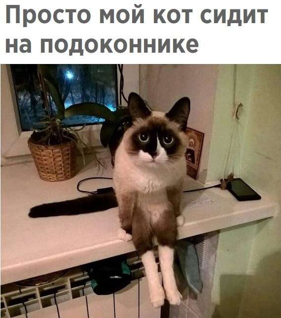 Юмор помогает пережить демократию. Что общего у депутатов, детей и умалишённых?