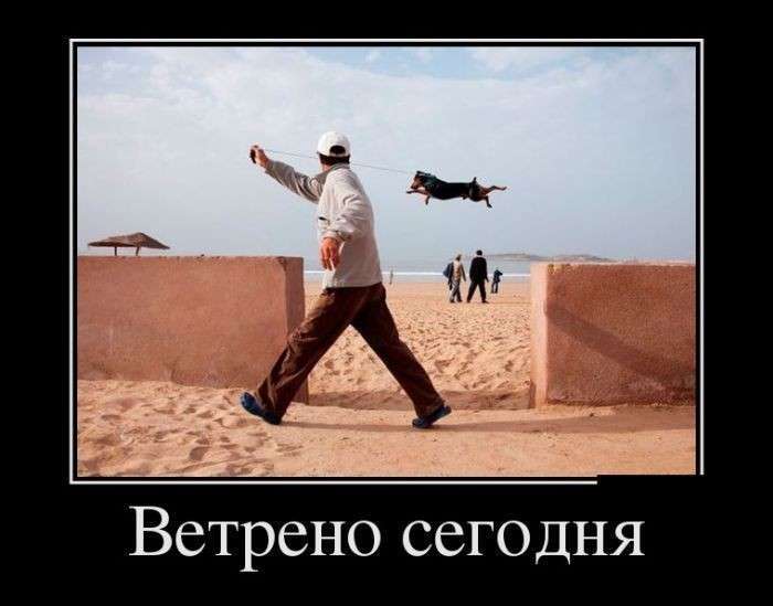 Демотиваторы на субботу. Когда я был маленький, а шпроты – большие