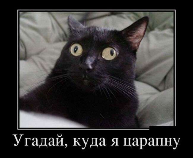 Демотиваторы на субботу. Когда я был маленький, а шпроты – большие