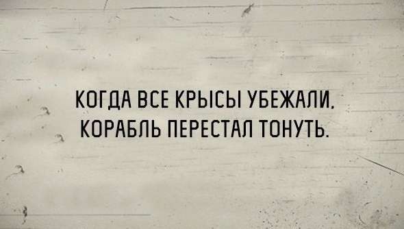 Юмор помогает пережить смуту: слово «вегетарианец» означает плохой охотник