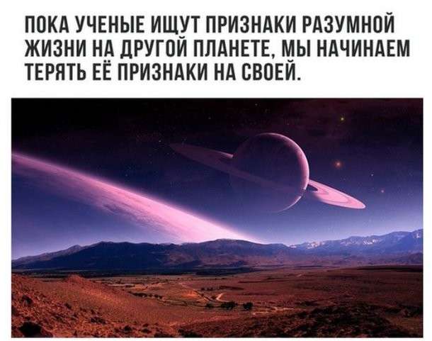 Юмор помогает пережить смуту: слово «вегетарианец» означает плохой охотник
