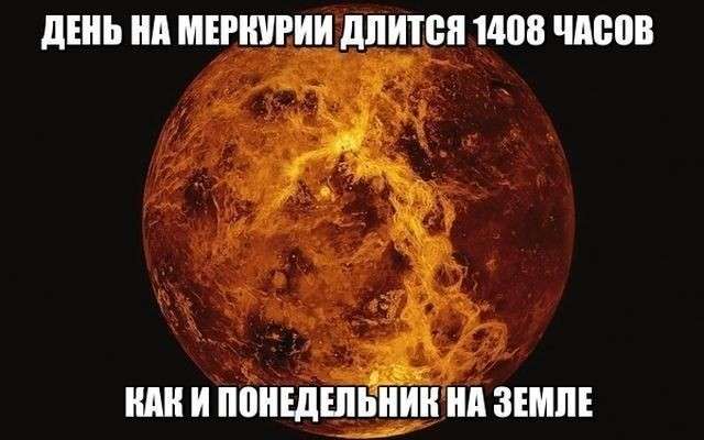 Юмор помогает пережить смуту: слово «вегетарианец» означает плохой охотник