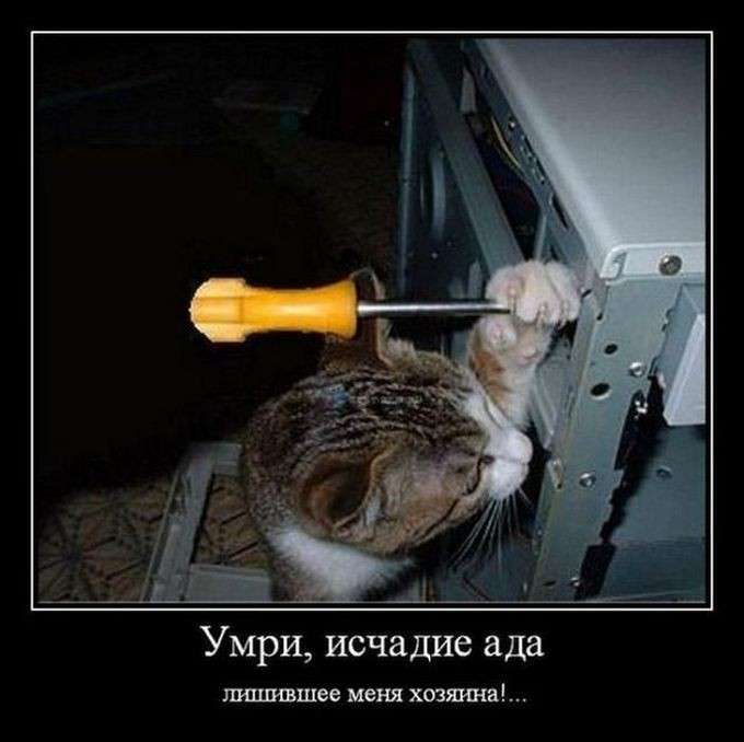 Демотиваторы на среду: если больной хочет жить, то медицина бессильна
