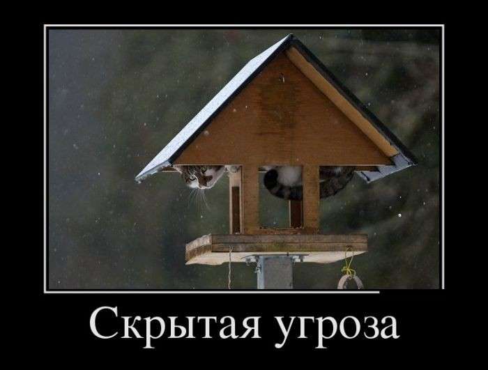 Юмор помогает пережить демократию: как украинцы сомалийских пиратов победили
