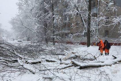 Последствия «снежного апокалипсиса» в Москве: пробки и миллион кубов снега