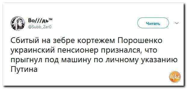 Юмор помогает нам пережить смуту: вспоминая Олимпиаду
