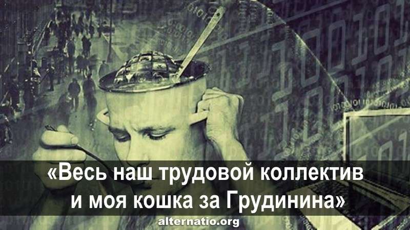 «Весь наш трудовой коллектив и моя кошка за Грудинина»